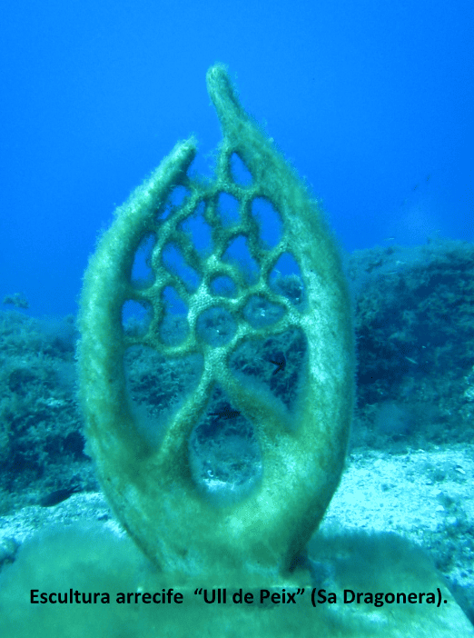 Imatge d'escultura sota el mar a l'escull "Ull de Peix" (Sa Dragonera).