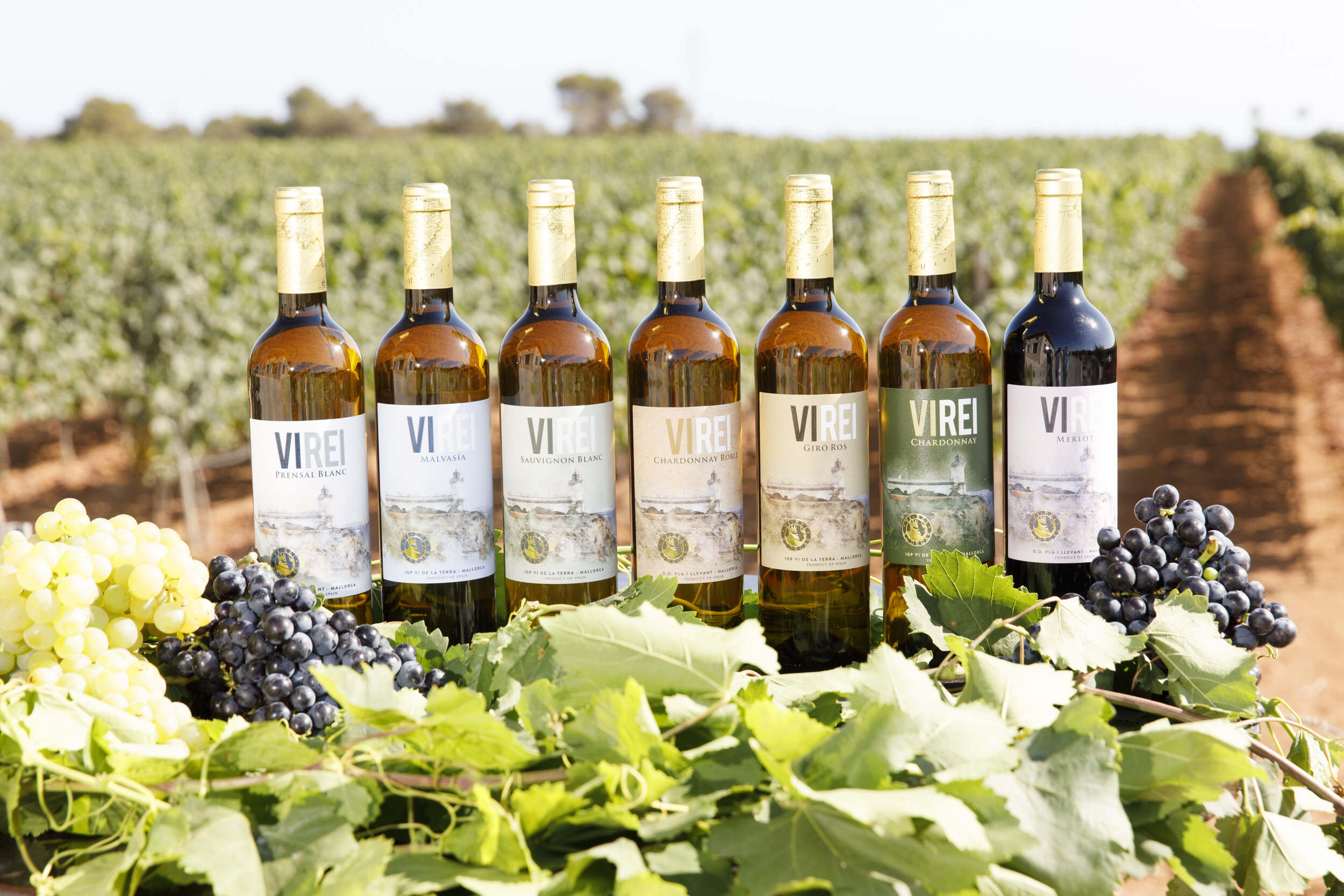 Several wines from Bodegas Vi Rei