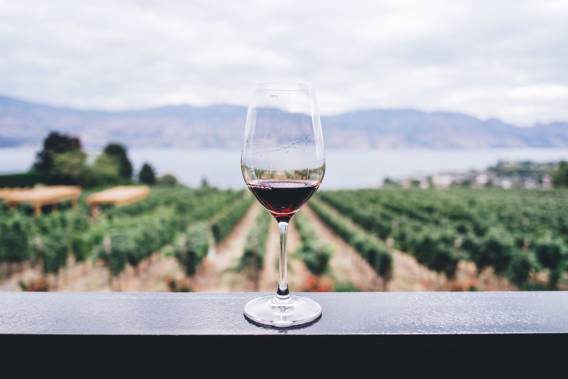 Bebidas y bodega de Baleares de Producto de Aquí. Copa de vino tinto con vista a viñedo