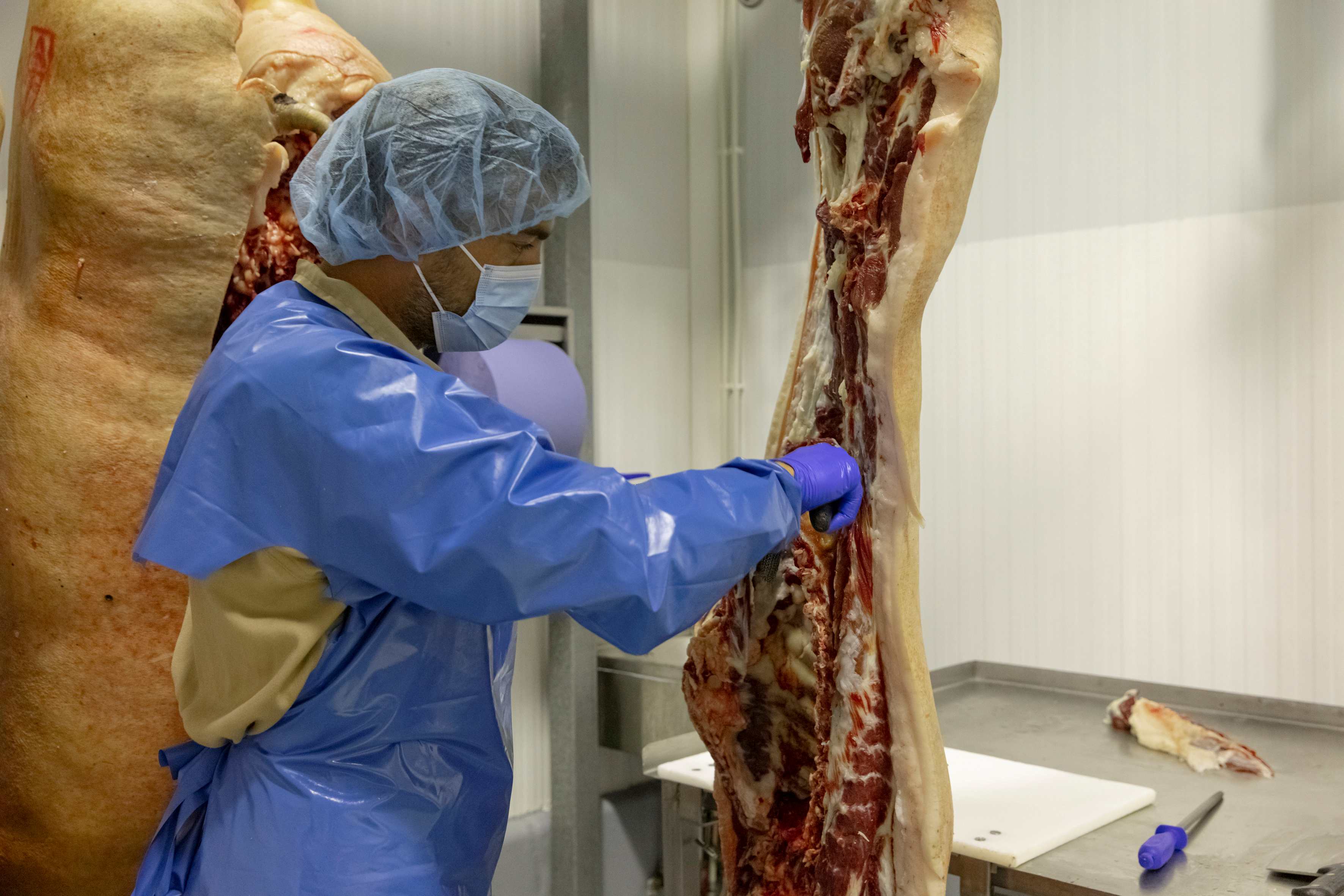 Acomiadament del Porc Negre de Mallorca a les nostres instal·lacions