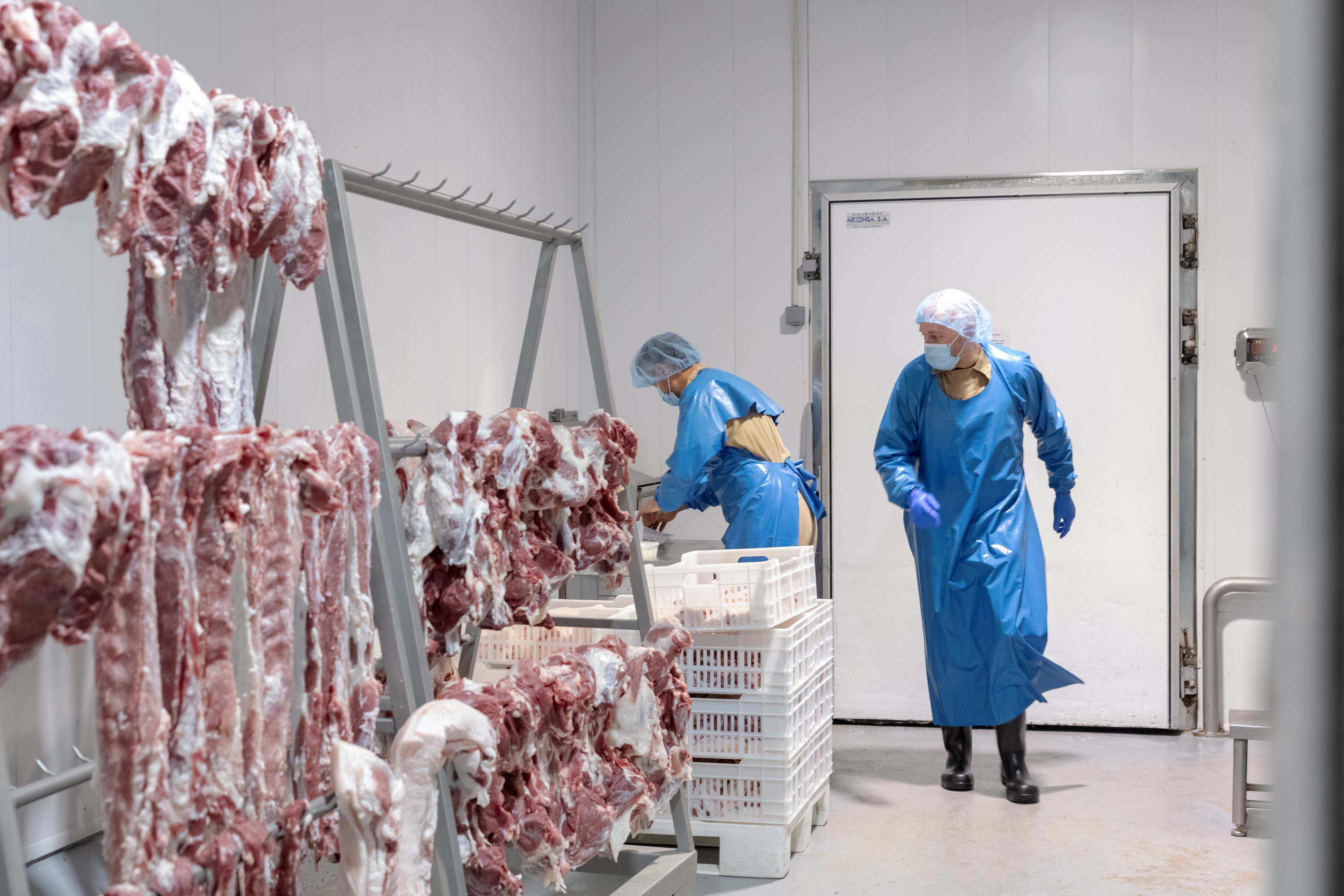 Preparació carn de Porc Negre de Mallorca
