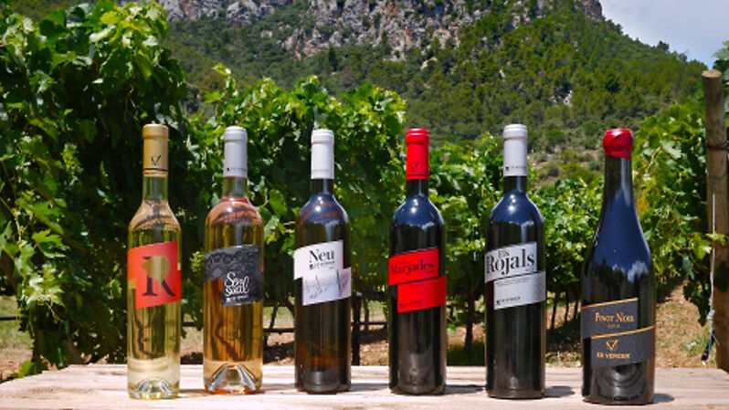 Elaboramos seis tipos de vinos: Ses Marjades (Mantonegro), Els Rojals (Cabernet y Merlot), Pinot Noir (Tintos) y Fita del Ram (Blanco dulce variedad Viognier). 