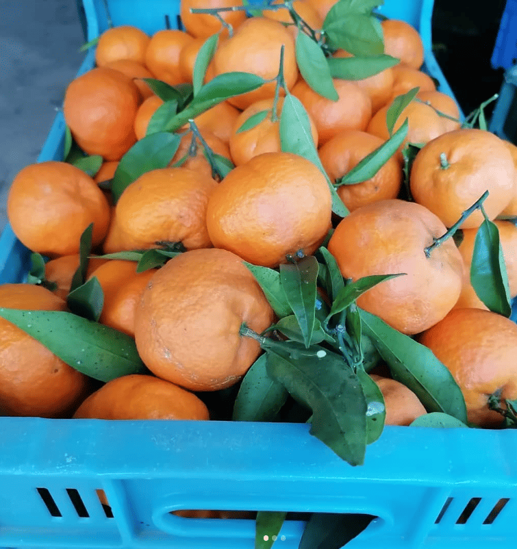 Caixa de clementines