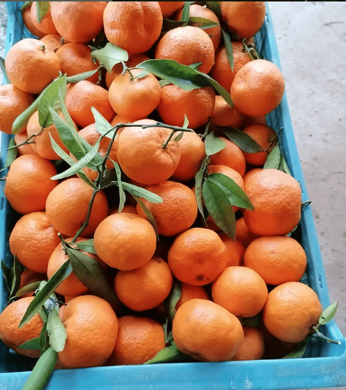 clementines en caixa