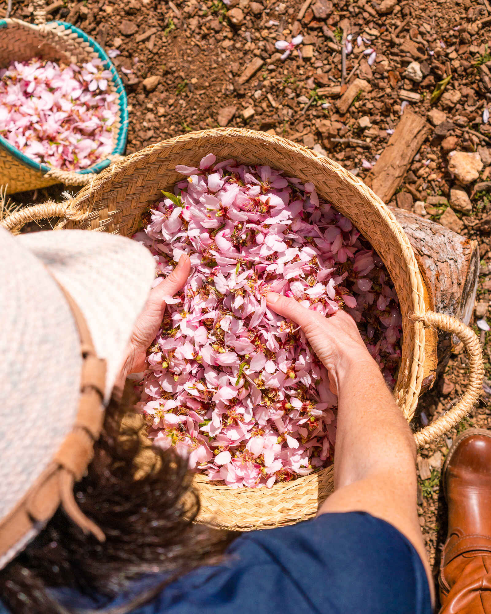 Bild von Cultivos de Ginebras Mallorca Distillery