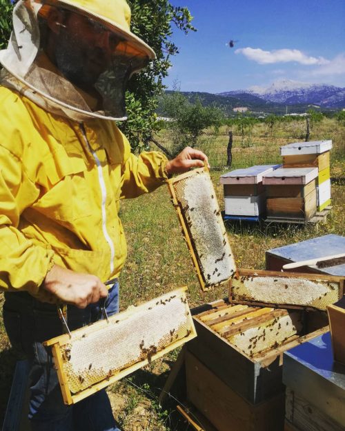 L' art de l' apicultura
