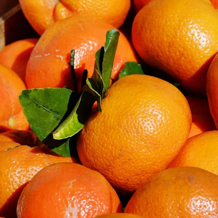 Oranges, tangerines, lemons,...