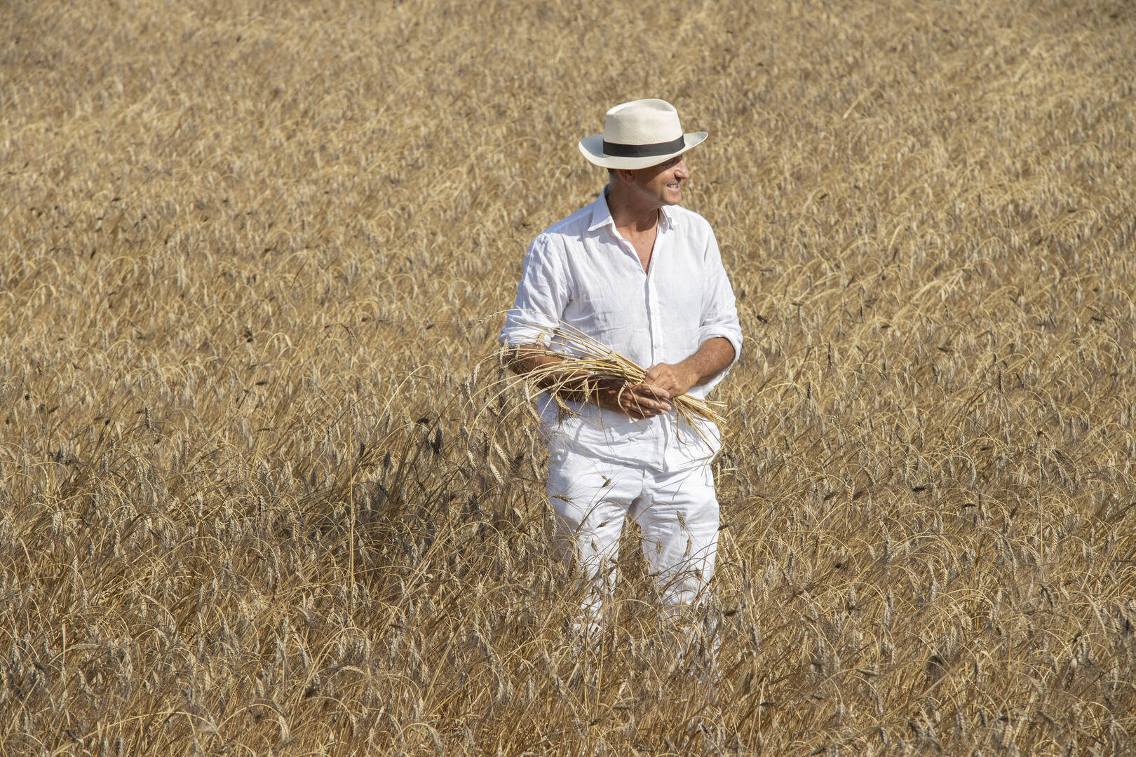 Mestre forner abans de la collita de cereals